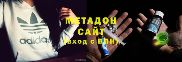индика Гусев