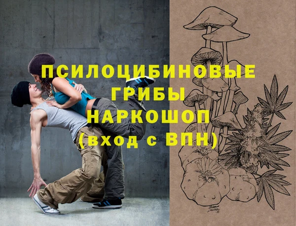 mdpv Горнозаводск