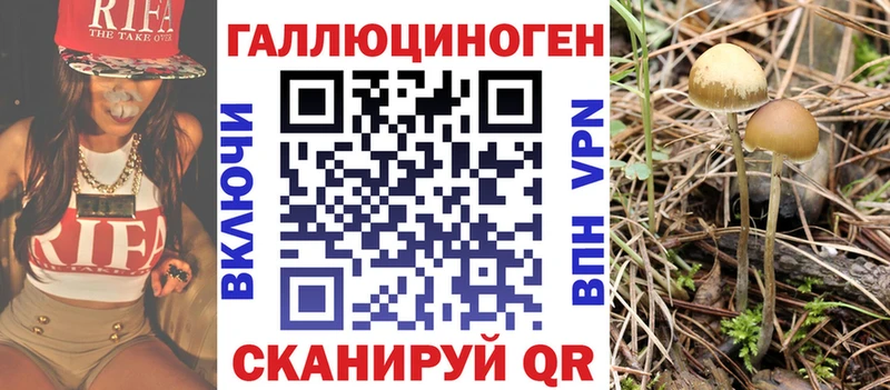 цены   Нижневартовск  Псилоцибиновые грибы мицелий 